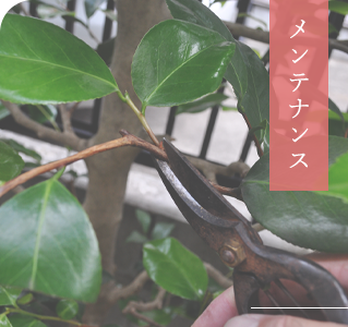 メンテナンス