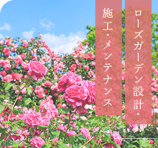 ローズガーデン設計・施工・メンテナンス